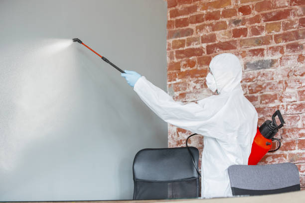 Best Indoor Air Quality Assessment  in Pottstown, PA
