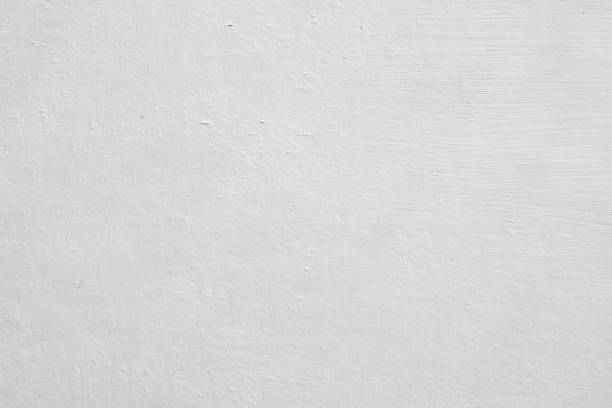 Best Attic Mold Removal  in Pottstown, PA