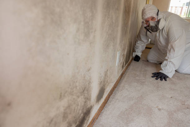Best Post-Remediation Verification Testing  in Pottstown, PA
