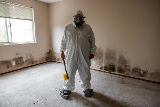Best Airborne Mold Testing  in Pottstown, PA