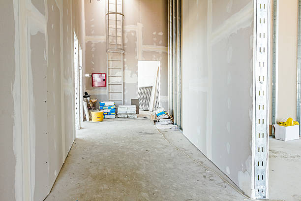 Best Emergency Mold Remediation  in Pottstown, PA