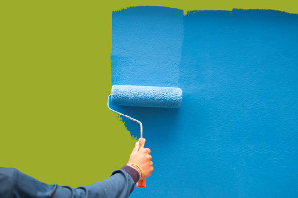 Best Black Mold Removal  in Pottstown, PA